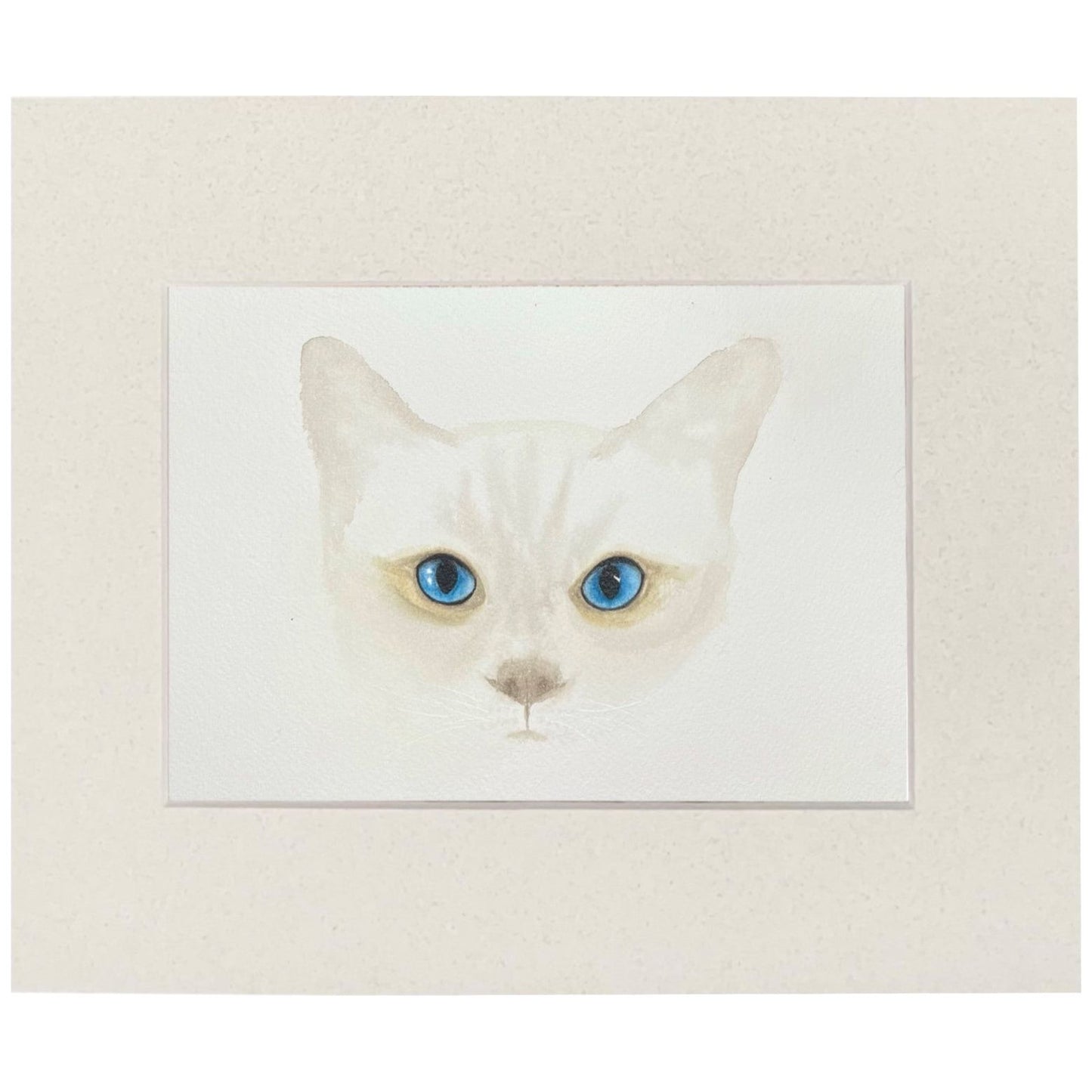 Blue-eyed Cat