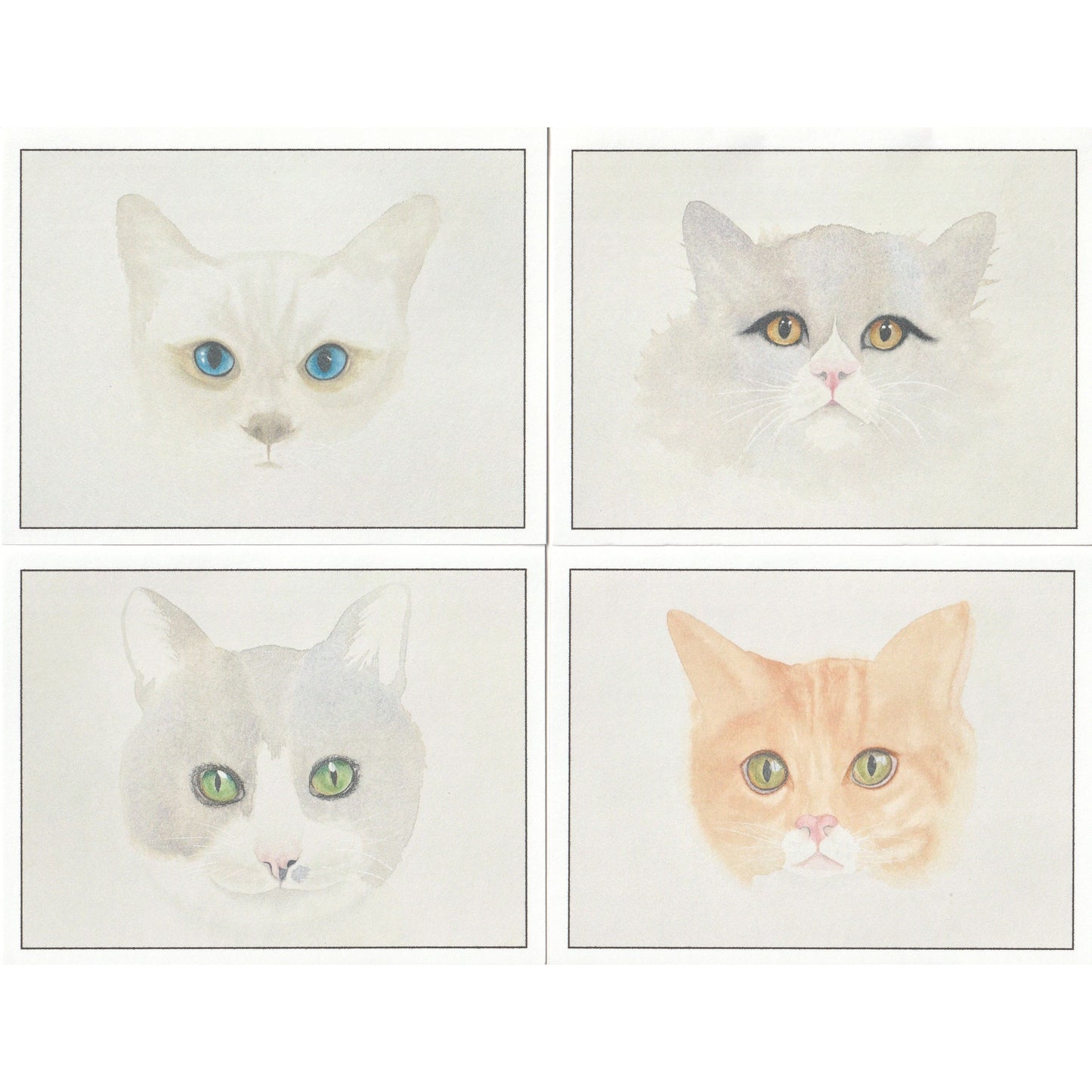 Cat Note Cards