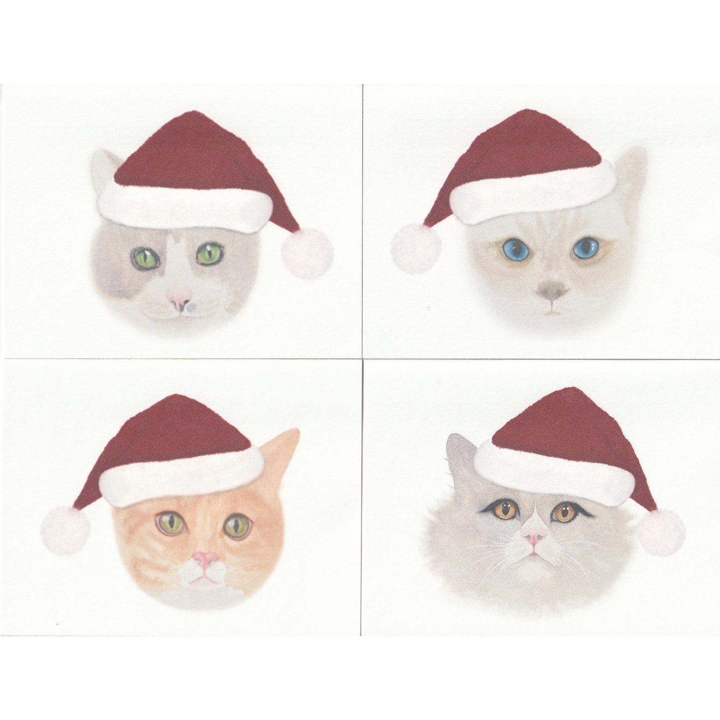 Santa Cat Note Cards